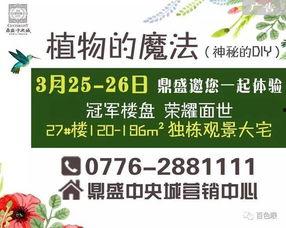 百色今日爆料信息查询最新,揭秘今日热点事件！”